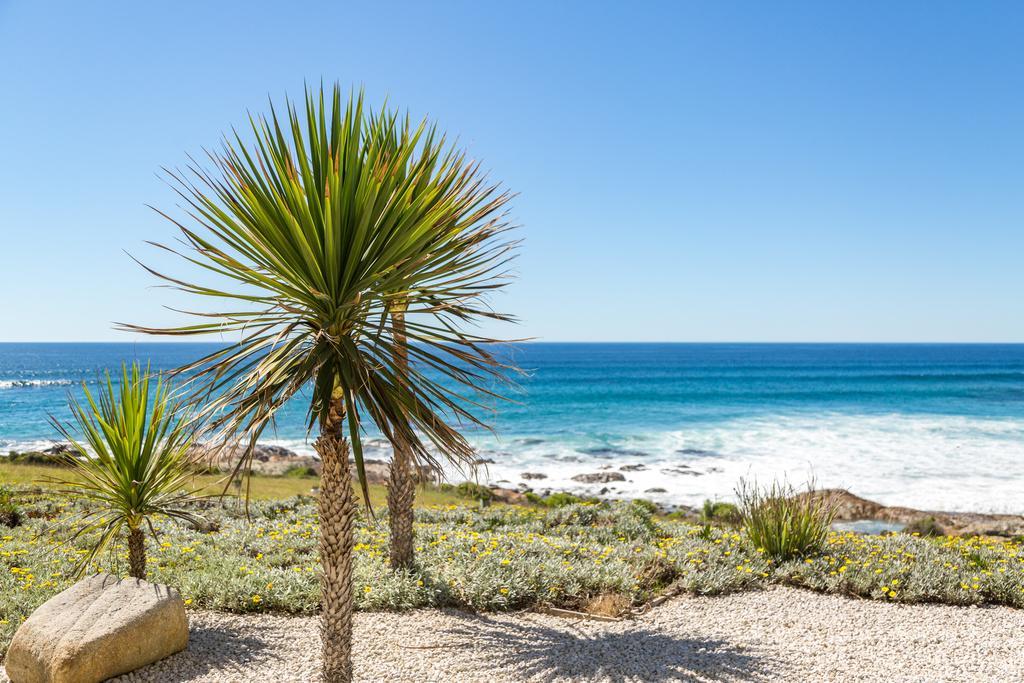 Saltwater - Absolute Oceanfront, Fire Pits, Some Villas With Hot Tubs And Sauna Falmouth Buitenkant foto